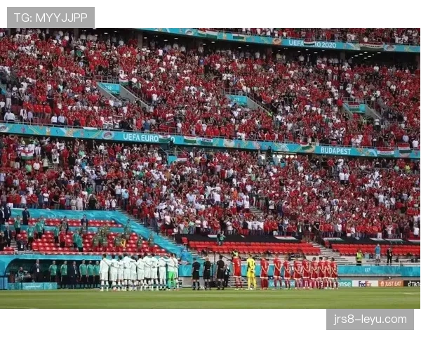 匈牙利表现稳健,提前锁定欧洲杯正赛席位 匈牙利表现稳健,提前锁定欧洲杯正赛席位