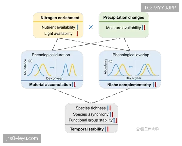 帕尔默首季高光表现的持续性与稳定性分析